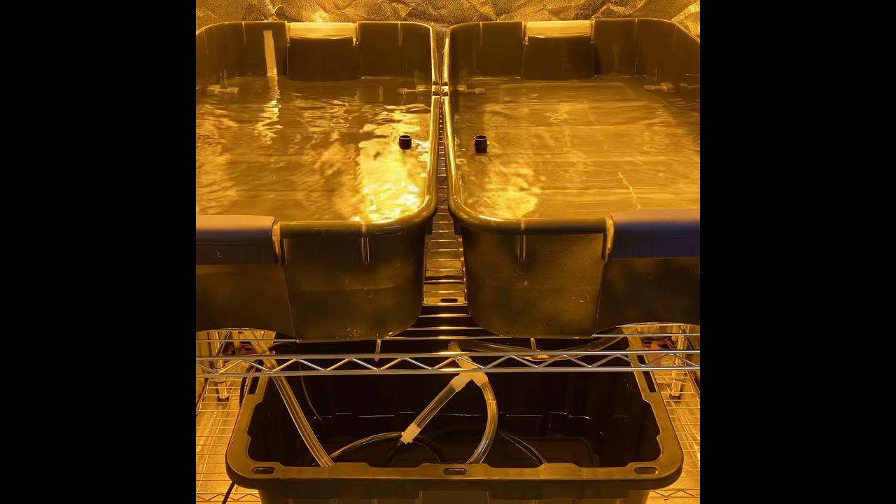 Flood and Drain Hydroponics