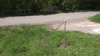 Nesavesni Mladenovčani Lomili Platane