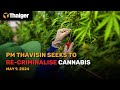 Thailand news may 9 pm thavisin seeks to recriminalise cannabis