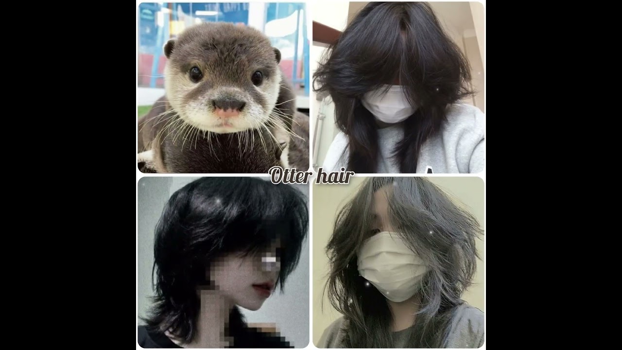 Animal hair ☆ 