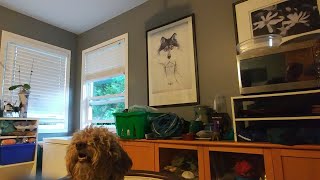 Monday Reads, June 28, 2021