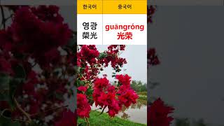 아주 쉬운 중국어 단어 배우기