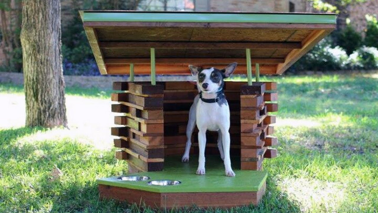 Dog house демо dog houses info. будка для собаки. Dog house демо dog houses info. собачья будка. конура для немецкой овчарки.