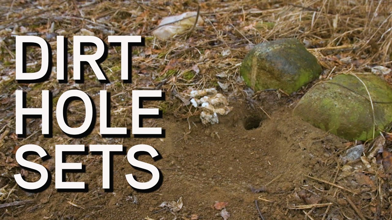 How To Make A Dirt Hole Set  Predator Trapping 