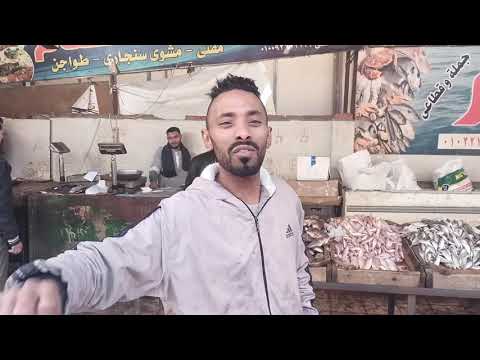 اسماك همام في الحي العاشر مدينة نصر اسعارقطاعي مع الشيف عمرو العكرمي