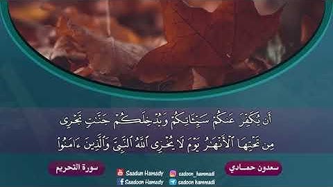 شیخ سعدون حمادي , تلاوة خاشعة مبكية تهز القلوب من سورةالتحريم { يا أيها الذين آمنوا قوانفسكم