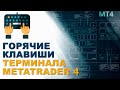 Горячие клавиши терминала MetaTrader 4