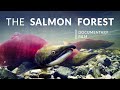 غابة السلمون غابة تونغاس الوطنية فيلم وثائقي عن طبيعة ألاسكا mp3