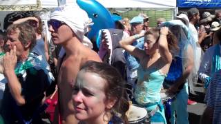 Samba Parade  North Country Faire 2015