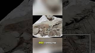 T. Rex Devour: Bone Crushing Diet Revealed! #shorts