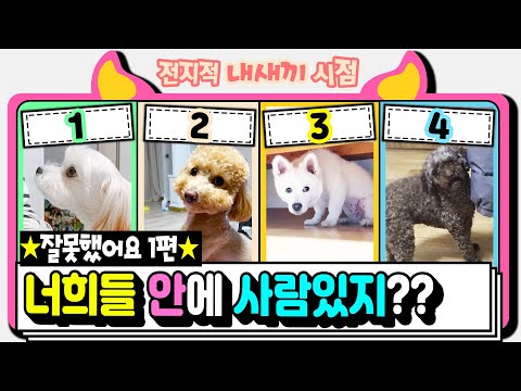 [<strong>전지적</strong> 내새끼 시점] (댓글 투표) 혼나는 아가들, 너희들 안에 <strong>사람</strong> 있지?_잘못했어요 1편