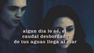 Yo naci para amarte- Alejandro fernandez