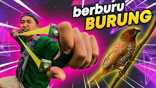 Berburu Burung Hama Dengan Ketapel Slingshot