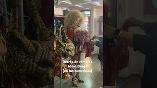 En los camerinos de MentiDrags #behindthescenes #detrasdecamaras #mentidrags #mentiraselmusical