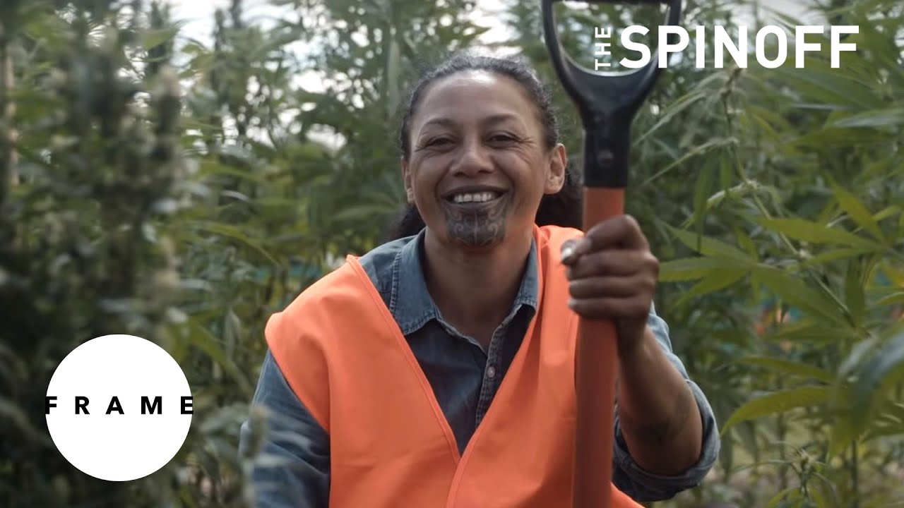 Grass Roots: the women of Hikurangi Enterprises | Frame | The Spinoff