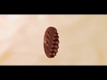 ロイズ　ピュアチョコレート　シズル篇 -30秒-　CM