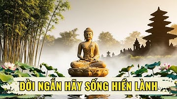 ĐỜI NGẮN HÃY SỐNG HIỀN LÀNH