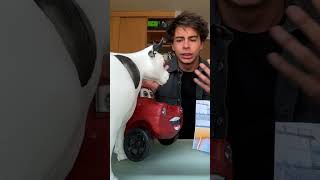 Cuál Es El Verdadero Toro Mecánico?