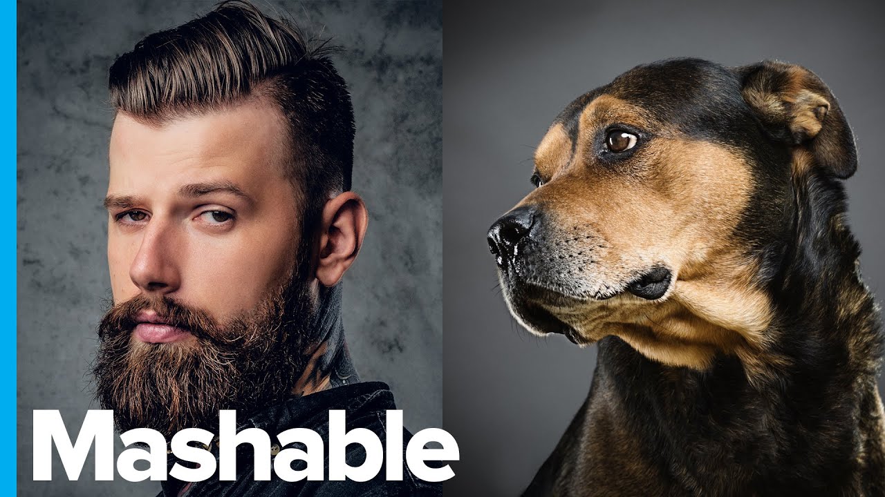 Study Says Dogs Carry Fewer Germs Than Bearded Men YouTube