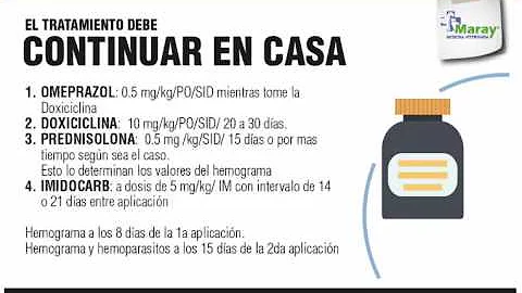 Como tratar a Hemoparasitose?