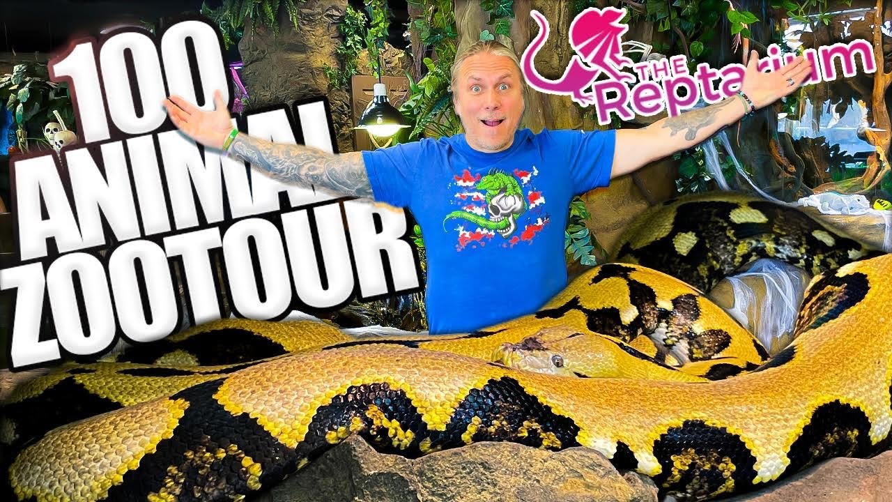 ⁣100 ANIMAL TOUR AT MY REPTILE ZOO!! | BRIAN BARCZYK
