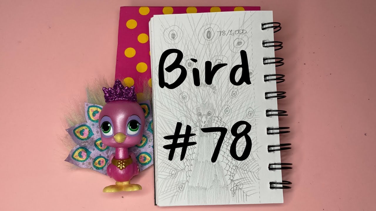 Draw 1,000 Birds With Me Peacock Part 8 of 10 - YouTube