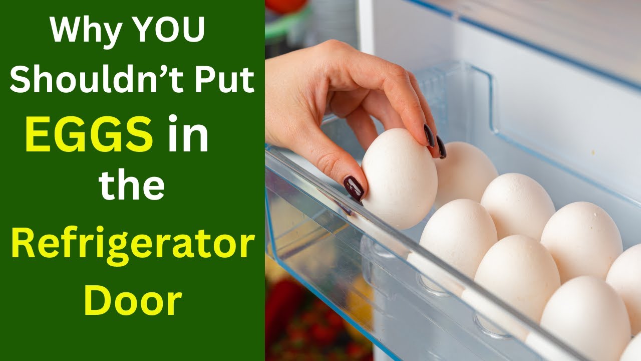 Why You Shouldn t Put Eggs In The Refrigerator Door YouTube Why you shouldn t put eggs in the refrigerator door youtube