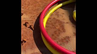 Diagnosing an Unknown Intermittent Fault on Old Kohler Generator