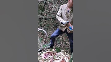 Finding Joy in Simplicity:A Forest Worker Discovers the Secret Behind People