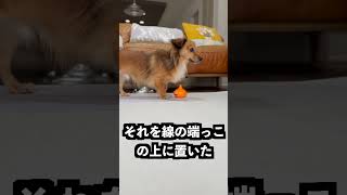 逃げるメタルスライムの下にスライムを敷けば捕まえられるはず!