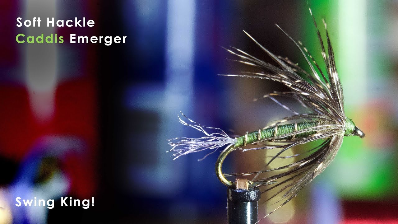 Soft Hackle Emerging Caddis McFly Angler Fly Tying Tutorials YouTube