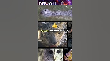 10 Exciting Facts About Macroevolution | KNOW iT