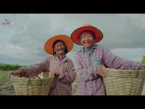 MOST SINFUL COUNTRY This Happens Everyday In TIMOR LESTE Mind Blowing Facts About Here Documentary