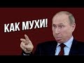 Главное достижение путина! Россия вымирает!