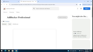 AdBlocker Professional adware-type extension removal.