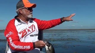 D.O.A. 2" Shrimp crappie fishing in lake Okeechobee
