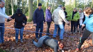 De Leerexpert | Jaaroverzicht 2015-2016