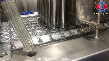 Máy chiết rót dán nắp bỏ nhân cốc thạch tự động