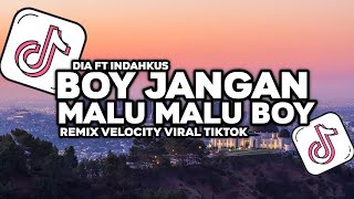 DJ BOY JANGAN MALU MALU BOY KAMU ITU LUCU BOY REMIX VELOCITY VIRAL DI TIKTOK!!