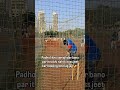Toss jeete matlab batting first 🏏 #viral #cricket #trending #shorts #youtubeshorts #ipl #viralvideo