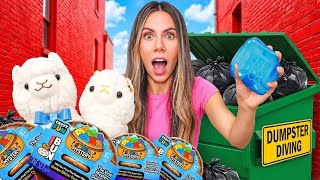 LLAMAS Go DUMPSTER DIVING at FIVE BELOW! *JACKPOT*