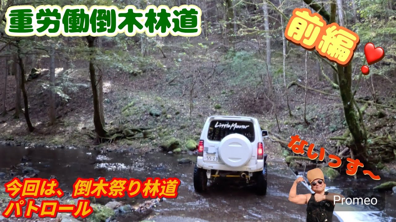 ■ジムニー■ゆる〜い林道のはずが。。。重労働倒木林道でした