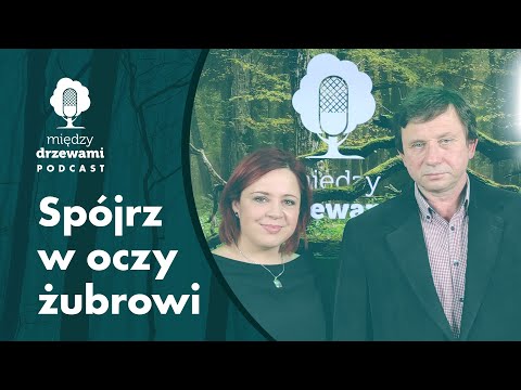 Wideo: Ćwiczenia upadku indukowanego (EIC) u psów