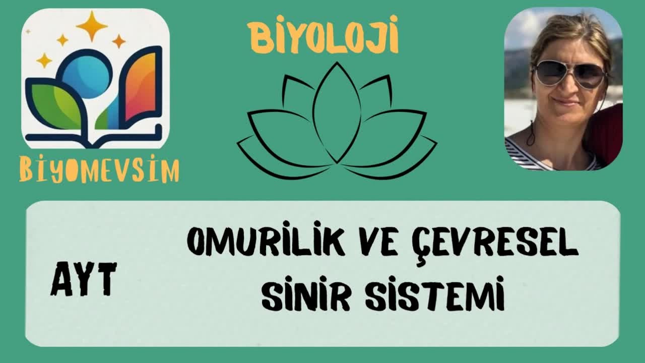 AYT- OMURİLİK VE ÇEVRESEL SİNİR SİSTEMİ