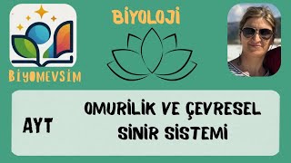 AYT- OMURİLİK VE ÇEVRESEL SİNİR SİSTEMİ