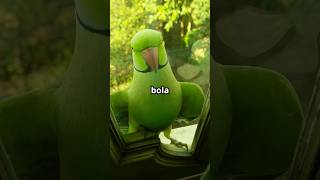 Did a parrot speak his heart out to his friend? #shorts #ytshorts #fpsstory #birdlanguage