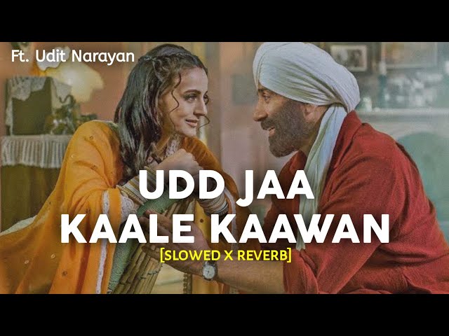 Udd Jaa Kaale Kaawan - [Slowed X Reverb] Ft. Udit Narayan & Alka Yagnik | Gadar 2 | Sunny Deol class=