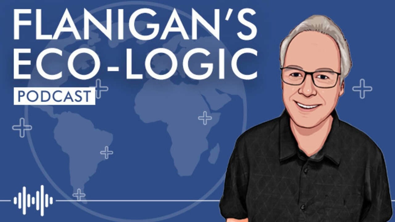 Ralph Cavanagh on Removing Barriers to Cost-Effective Energy Efficiency