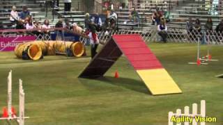 2010 AKC Agility Invitational Wilson-STD Round 1.mp4