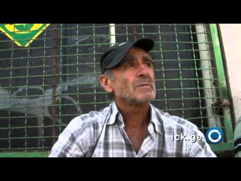 გამოკითხვა ვაჩნაძიანში